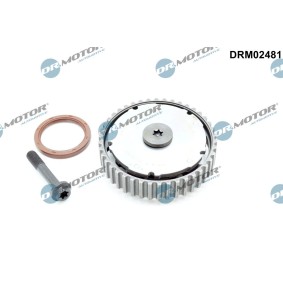 Acquista Regolatore albero a camme da DR.MOTOR AUTOMOTIVE DRM02481 a buon mercato per soli 168,17 €