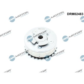 Acquista Regolatore albero a camme da DR.MOTOR AUTOMOTIVE DRM02483 a buon mercato per soli 263,81 €