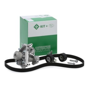 Achetez des Kit de distribution + pompe à eau INA 530 0238 30 à prix pour 125,43 €