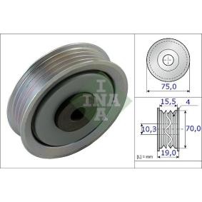Compre Rolo tensor, correia trapezoidal estriada da INA 531 0845 10 a um preço baixo por 47,24 €
