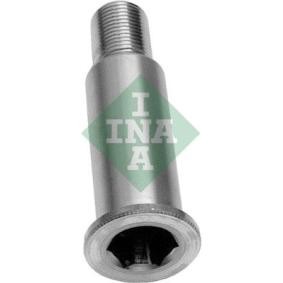 Comprar Gorrón, palanca rodillo tensor de INA 533 0064 20 a bajo precio de 24,30 €