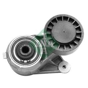 Comprar Brazo tensor, correa poli V de INA 534 0006 10 a bajo precio de 176,96 €