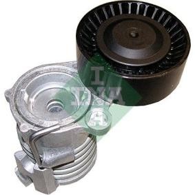 Comprar Brazo tensor, correa poli V de INA 534 0296 10 a bajo precio de 46,43 €