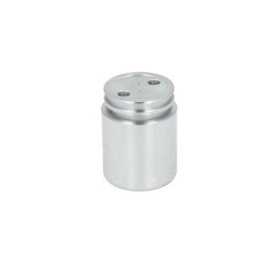 Compre Pistón de la pinza de freno de LTD online para Vectra C GTS (Z02) a precios moderados