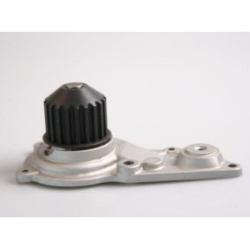 Osta Vesipumppu LTD:llä LTD-4621489 edullisesti hintaan 34,75 €