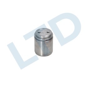 Compre Pistón de la pinza de freno de LTD online para Vectra C GTS (Z02) a precios moderados