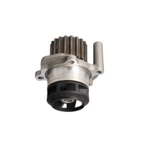 SEAT Wasserpumpe von LTD