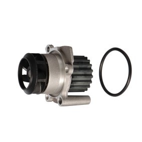 SEAT Wasserpumpe von LTD