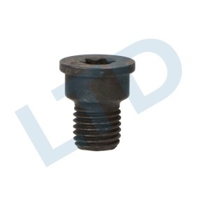 Schraube, Bremsscheibe LTD-N91028202