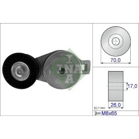 Achetez des Poulie damper (vilebrequin) INA 544 0048 10 à prix pour 672,43 €