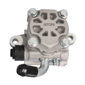 Servopumpe 11-TO-200