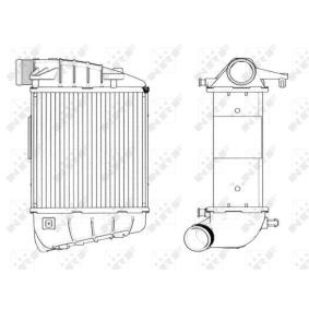 Comprar Intercooler de NRF 30771 a bajo precio de 163,48 €