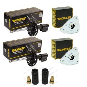 Stoßdämpfer-Set MNE1185N0008