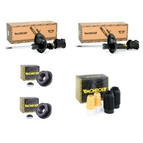 Stoßdämpfer-Set MNE1185N0012 für FIAT