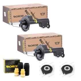 Stoßdämpfer-Set MNE1185N0039