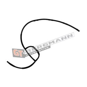 Achetez des Tuyau, carburant de fuite GT-BERGMANN GT52-831 à prix pour 49,75 €