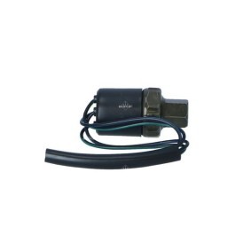 Achetez des Radiateur du moteur NRF 52092 à prix pour 275,53 €