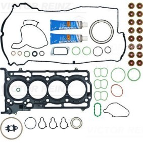 Dichtungsvollsatz, Motor von REINZ 01-11275-01