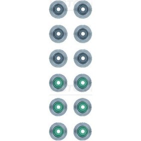 Osta REINZ Venttiilivarren kumi netistä LX IV (J310)-mallille edulliseen hintaan