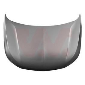 Motorhaube 3729660