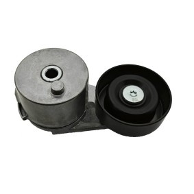 Comprar Tensor de correa poli V de SKF VKM 35219 a bajo precio de 34,44 €