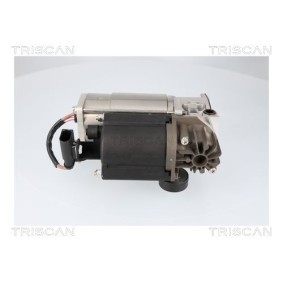 Compre Compressor de suspensão a ar da TRISCAN 8725 15001 a um preço baixo por 537,12 €