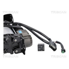 Acquista Compressore sospensioni da TRISCAN 8725 81103 a buon mercato per soli 544,54 €