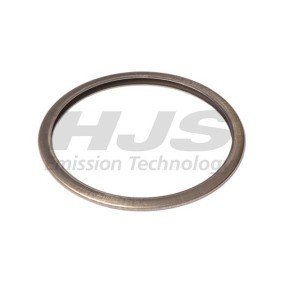 Dichtung, Turbineneinlass (Lader) von HJS günstig für 12,43 €