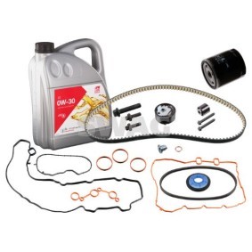 Achetez des Kit de distribution SWAG 33 11 1524 à prix pour 201,56 €