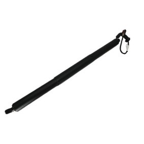 Heckklappendämpfer BRD50822 von BUGIAD günstig für 118,03 € online kaufen
