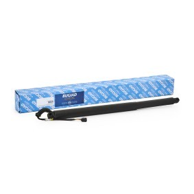 Compre Amortecedor da mala da BUGIAD BRD50828 a um preço baixo por 128,29 €