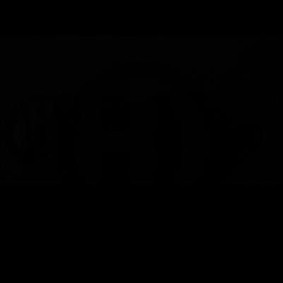 Kühlergrill 1294245