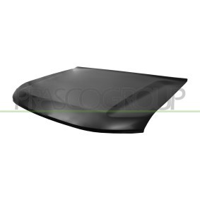 Achetez des Capot PRASCO JE0283110 à prix pour 774,50 €