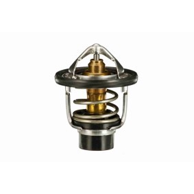 Thermostat von ACKOJA für LM 300h günstig online kaufen
