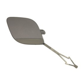 Achetez des Recouvrement de pare-chocs, dispositif d'attelage BLIC 5513-00-6001920Q à prix pour 20,51 €