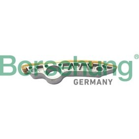 Achetez des Coulisse de chaîne de distribution Borsehung B12764 à prix pour 17,23 €