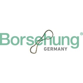 Steuerkette von Borsehung B12769