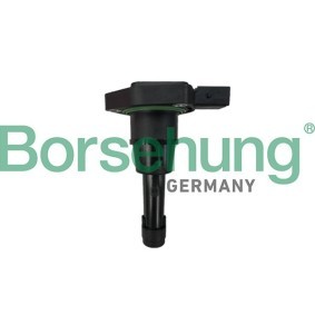 Comprar Sensor, nivel de aceite del motor de Borsehung B12841 a bajo precio de 103,17 €