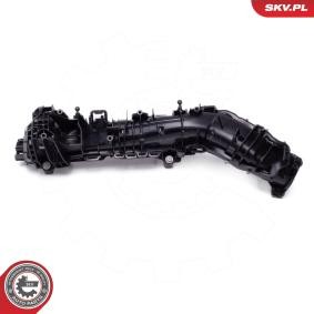 Achetez des Cache-culbuteur ESEN SKV 48SKV175 à prix pour 173,11 €