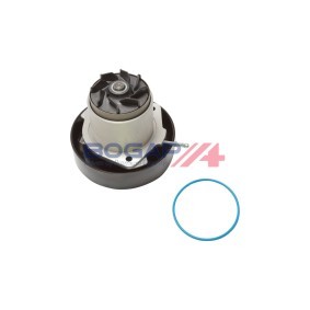 Achetez des Pompe à eau BOGAP A4234205 à prix pour 85,63 €