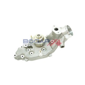 Achetez des Pompe à eau BOGAP A4234208 à prix pour 53,72 €