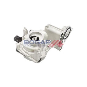 Köp Vattenpump av BOGAP T4234117 till det låga priset 2010,45 kr