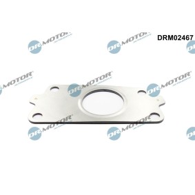 Turboladerdichtung DRM02467