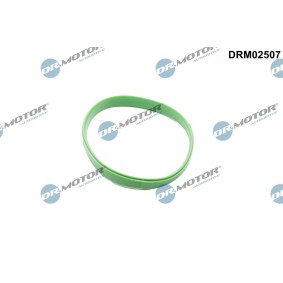 Achetez des Joint, manchon de vanne papillon DR.MOTOR AUTOMOTIVE DRM02507 à prix pour 6,57 €
