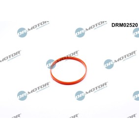 Dichtung, Drosselklappe DRM02520