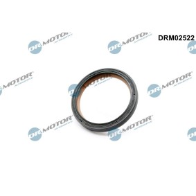 Kurbelwellensimmering DRM02522
