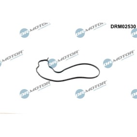 Osta Tiiviste, vesipumppu DR.MOTOR AUTOMOTIVE:llä DRM02530 edullisesti hintaan 12,52 €