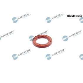 Acquista Paraolio albero a camme da DR.MOTOR AUTOMOTIVE online per Logan Pick-up (US_) a prezzi moderati