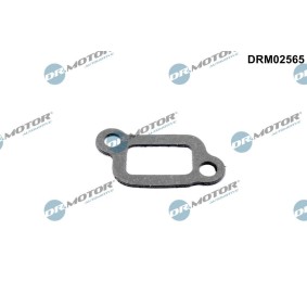 Dichtung, Thermostatgehäuse von DR.MOTOR AUTOMOTIVE DRM02565
