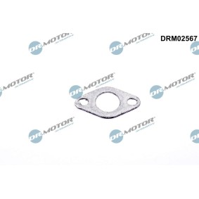 Dichtung, Sekundärluftventil DRM02567 ALPINA B3 von DR.MOTOR AUTOMOTIVE